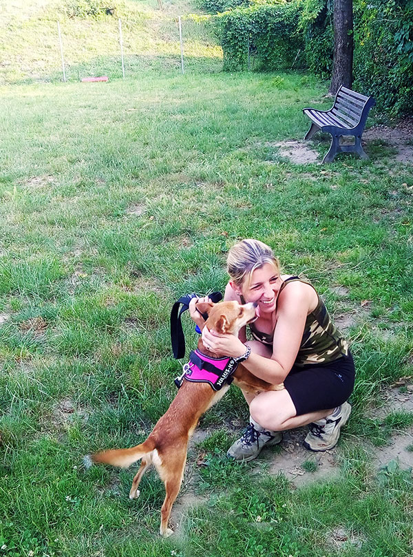 Dog sitting biella 2