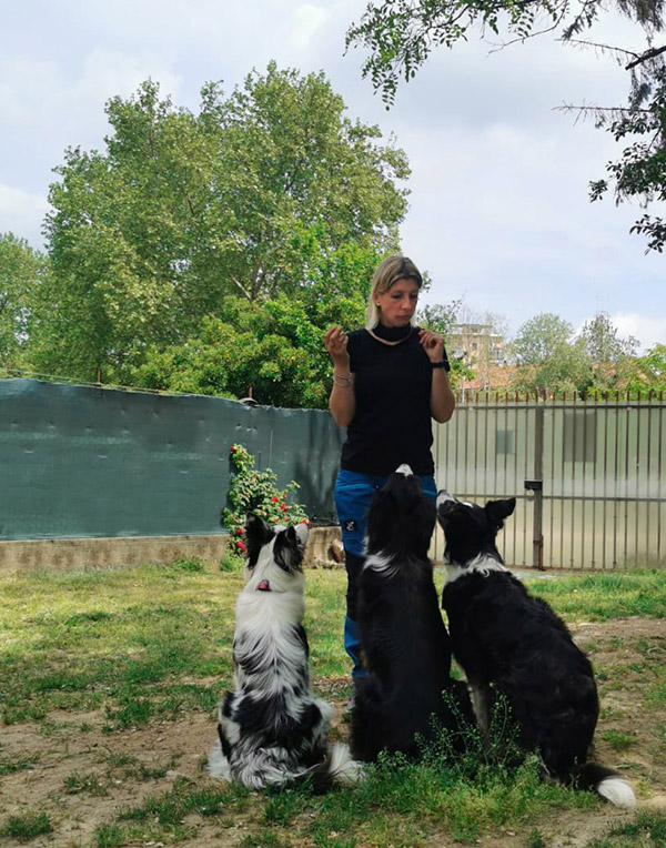 Sonia addestratrice Cinofilo a Biella con tre cani Sonia addestratrice Cinofilo a Biella con tre cani