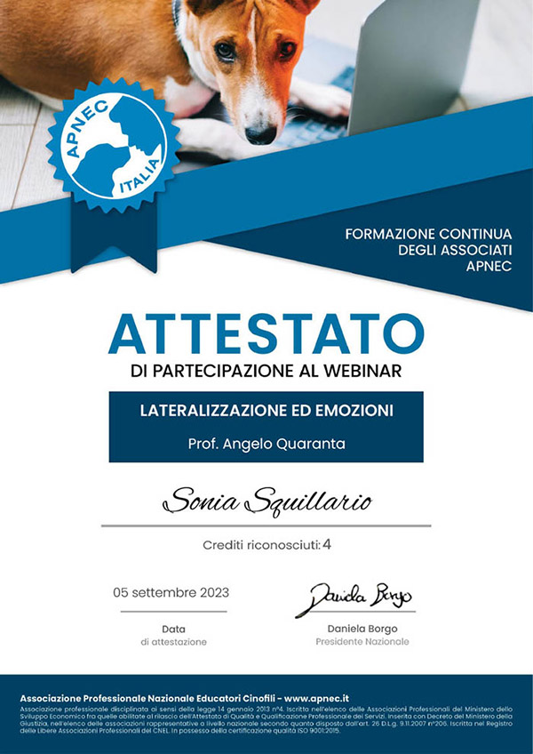 Educatore Cinofilo biella 2 Educatore Cinofilo biella 2